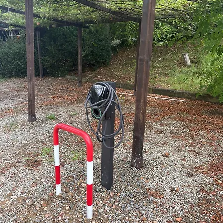 Valliferone